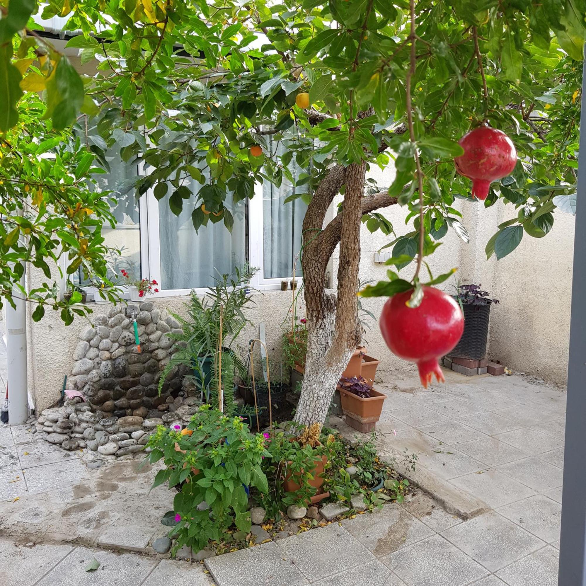 Домик У Реки Куры Tbilisi Exterior photo
